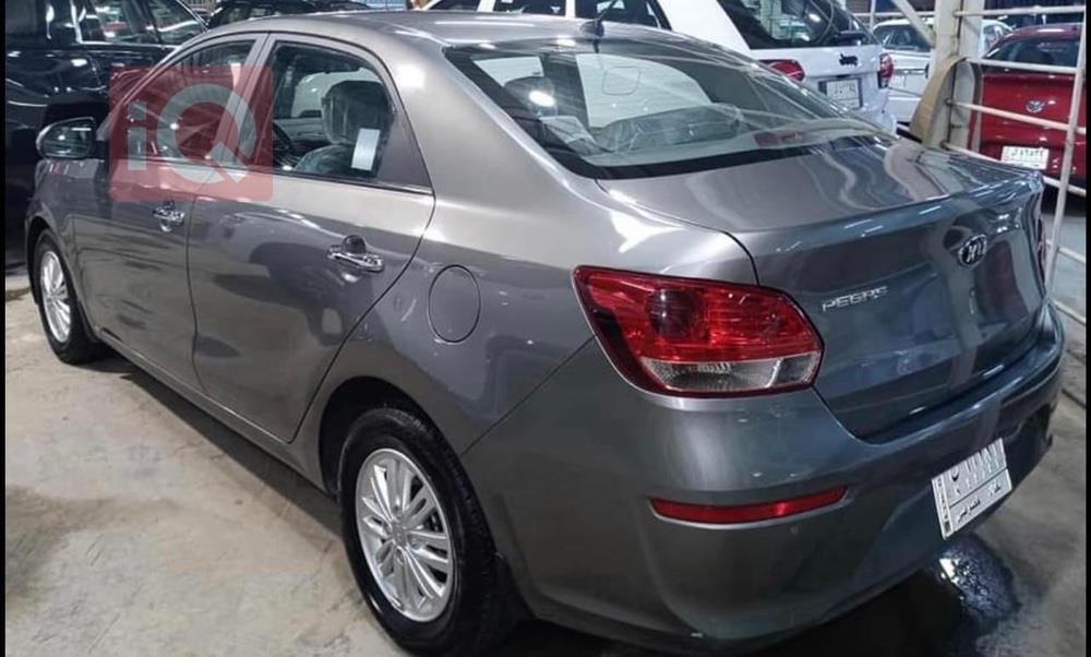 Kia Pegas